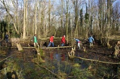 Kleine Wildernis in Bosch & Vaart?