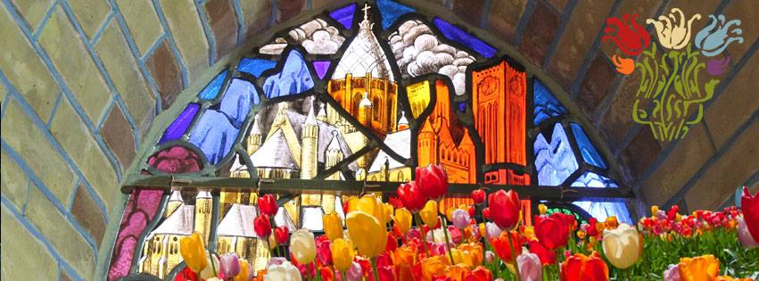 De Nieuwe Bavo Bloeit