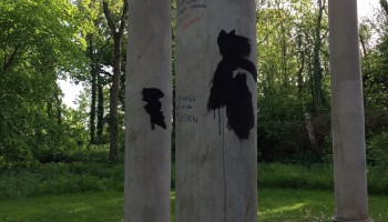 Politie zoekt hulp verminking Koepeltje