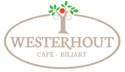 Bridge liefhebbers gezocht in Bosch & Vaart en Koninginnebuurt