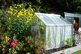 Tuinieren iets voor jou?