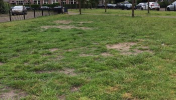 Onderzoek grasmat Oranjeplein