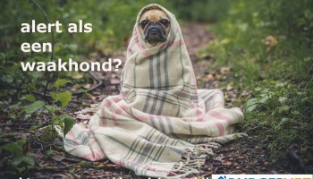 Burgernet Zomeractie