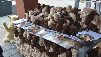 Hulphonden demonstratie & lezing