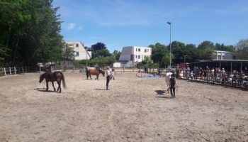 De manege zoekt vrijwilligers